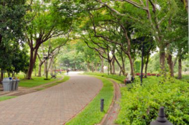 Park ve Bahçe bulanık manzaralı insanlar rahatlayın