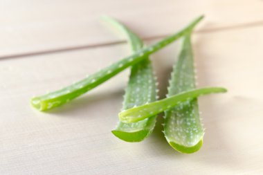 Aloe vera ahşap tahta arka plan üzerinde izole