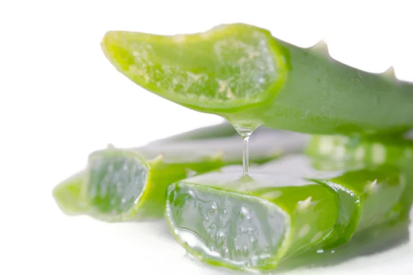 Aloe vera adalah zat gelatin yang diperoleh dari sejenis aloe — Stok Foto