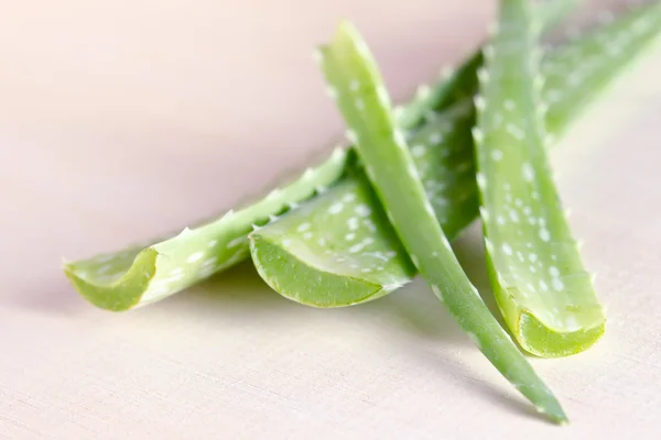 Aloe vera terisolasi di latar papan kayu — Stok Foto