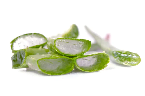 Buaya aloe terisolasi di latar belakang putih — Stok Foto