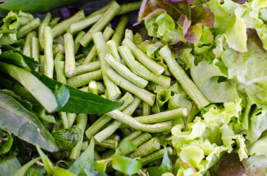 Salata sebze (yeşil meşe, marul ve Batavia) yaprak ve mercimek