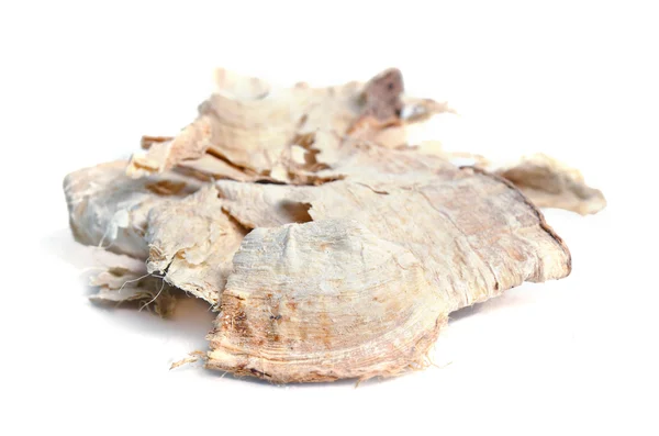 Pueraria mirifica eller vit Kwao Krua (Pueraria candollei Graham — Stockfoto