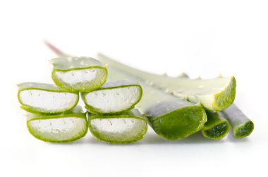 aloe vera üzerinde beyaz izole