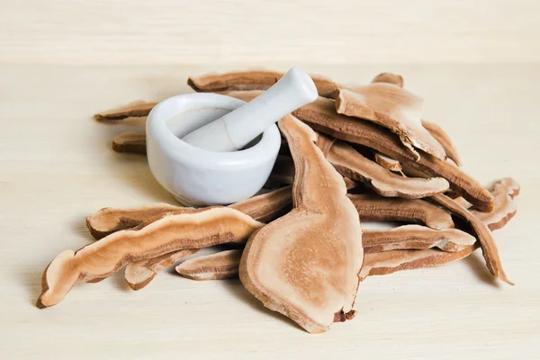 Lingzhi svamp, kinesisk traditionell medicin, Ganoderma Lucidu — Stockfoto