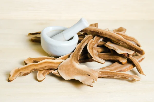 Lingzhi svamp, kinesisk traditionell medicin, Ganoderma Lucidu — Stockfoto