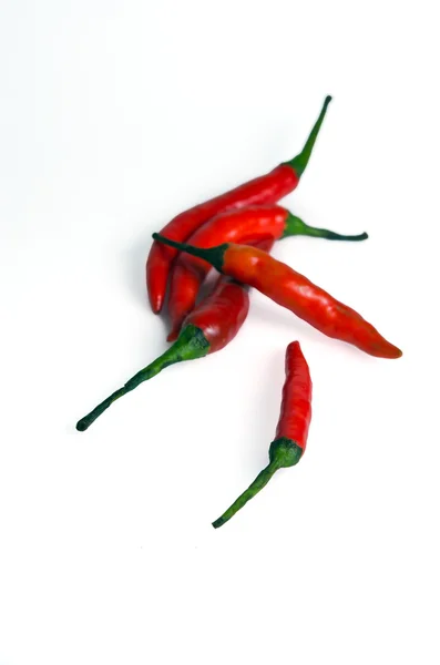 Chili peper geïsoleerd op witte achtergrond — Stockfoto