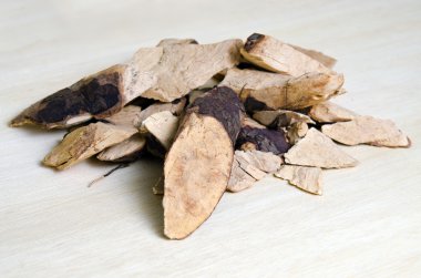 Trigonostemon reidioides Kurz Craib tahtaya izole.