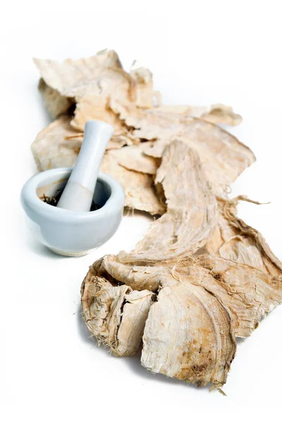 Pueraria mirifica, White Kwao Krua, Pueraria candollei Graham ex — Stock Photo, Image