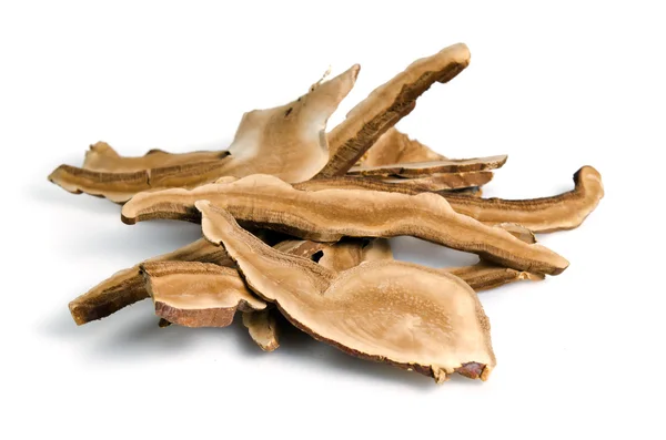 Lingzhi svamp, kinesisk traditionell medicin, Ganoderma Lucidu — Stockfoto