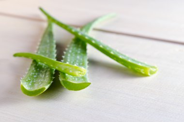 Aloe vera ahşap tahta arka plan üzerinde izole