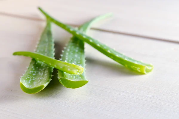 Aloe vera terisolasi di latar papan kayu — Stok Foto