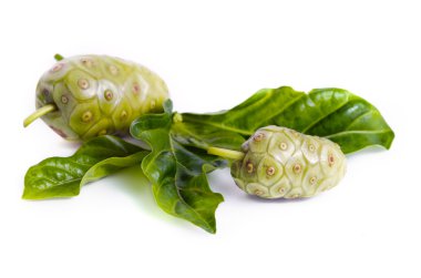 Egzotik Noni meyve üzerinde beyaz izole