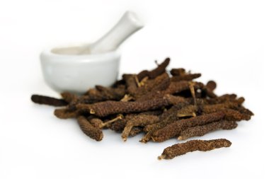 Uzun biber veya Pipli veya beyaz b izole Dipli (Piper longum)