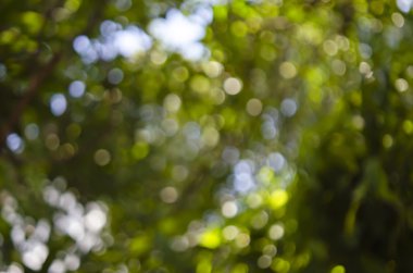 Ufuk arka plan ağaç, gökyüzü, ışık ve güneş gölge