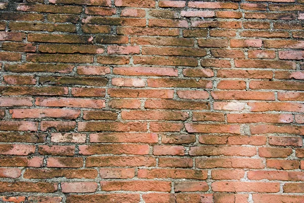 Mur en brique brune — Photo