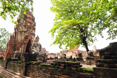 Buda pagoda tapınak Tayland tapınak hasarlı Buda ile