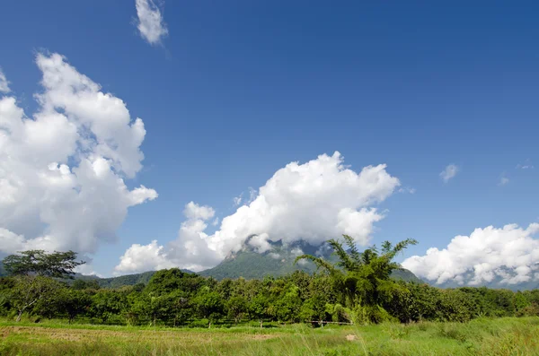 Herbe, montagne et ciel nuageux vue sur Chiangmai Thaïlande — Photo