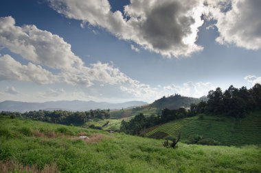 Çim, dağ ve bulutlu gökyüzü görünümü Chiangmai Tayland