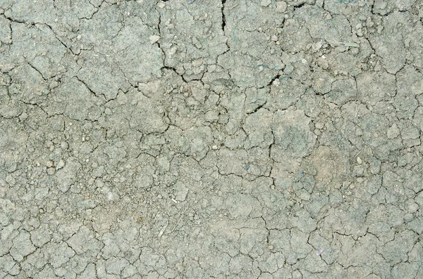 Dried and cracked soil texture