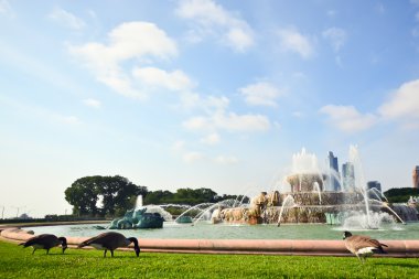 Buckingham Çeşmesi Grant Park Chicago, Amerika Birleşik Devletleri