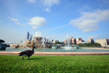 Buckingham Fountain Grant Park Chicago, United states of America clipart