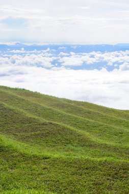 Sis ile çim sahası