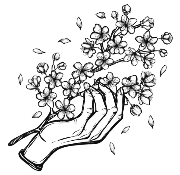 Mooie Kersen Vector Illustratie Sakura Tak Hand Knoppen Bloemen Kaart — Stockvector