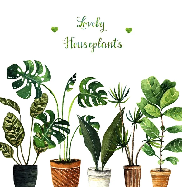 Illustration Aquarelle Belles Plantes Intérieur Carte Postale Pour Vous Fait — Photo