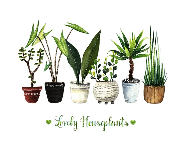 Watercolor Illustration Lovely Houseplants Set White Background Postcard You Handmade — Stock Photo, Image