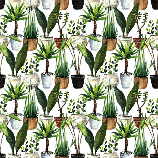 Watercolor illustration, lovely houseplants, set, postcard for you, handmade, seamless pattern, light background