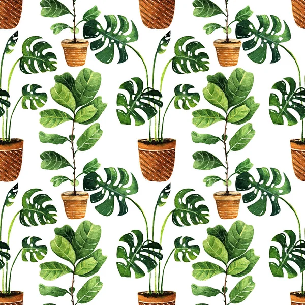 Watercolor Illustration Lovely Houseplants Postcard You Seamless Pattern Light Background — Stock Photo, Image