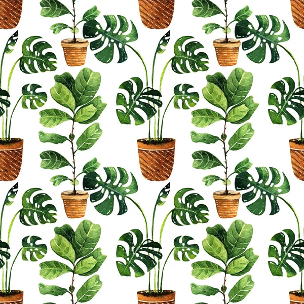 Ilustración Acuarela Plantas Interior Encantadoras Postal Para Usted Patrón Sin — Foto de Stock