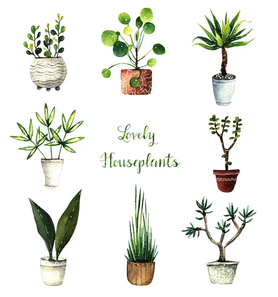 Watercolor Illustration Lovely Houseplants Postcard You White Background Set Handmade — Stock Photo, Image