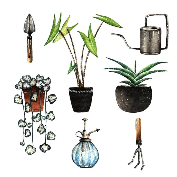 Веселые Домашние Растения Акварельная Иллюстрация Открытка Белый Фон Ручная Работа — стоковое фото