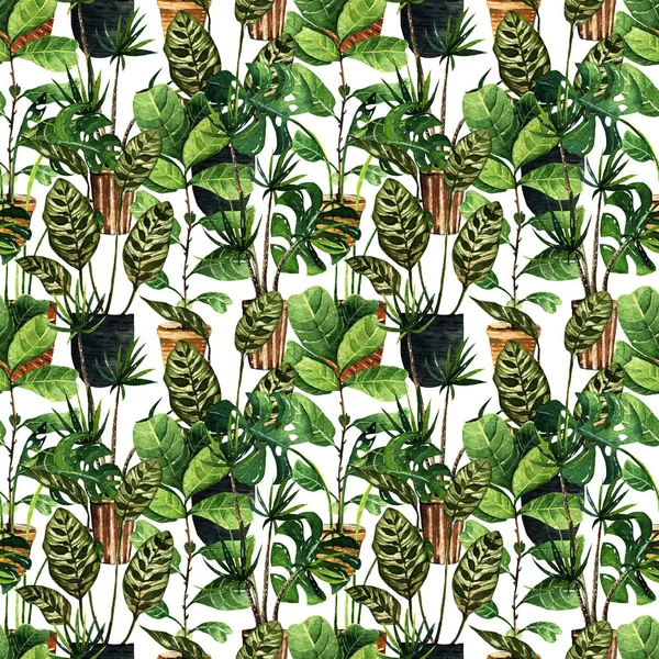 Lovely Houseplants Watercolor Illustration Postcard You Set Seamless Pattern Light — Stock Photo, Image