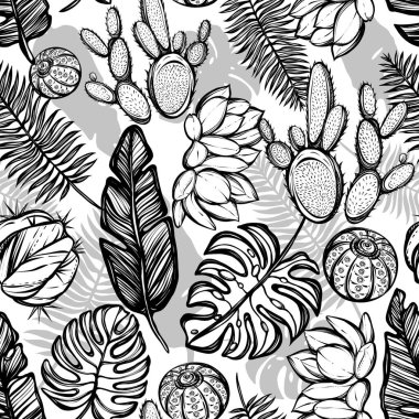 Vektör çizimi, Tropik yaz. Tropikal yapraklar, kaktüsler, açık arkaplan, pürüzsüz desen, el yapımı