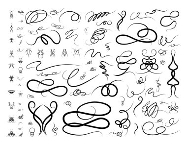 Hasır hatları ve vektör yaşlı Dekor elemanları.