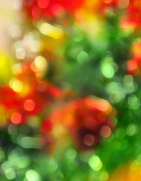 Soft blure background with bokeh. Nature, summer, spring. Raster — Zdjęcie stockowe