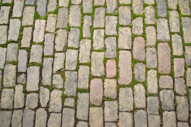 Bir çim ile kaldırım karosu