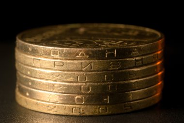 Ukraynalı hryvnia paralar