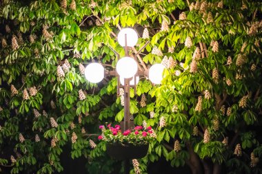 Çiçekli güzel sokak lambası