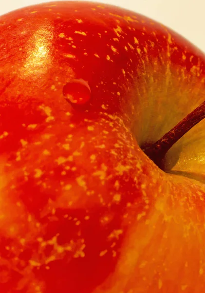 Rot Gelber Apfel Auf Hellem Hintergrund — Stockfoto