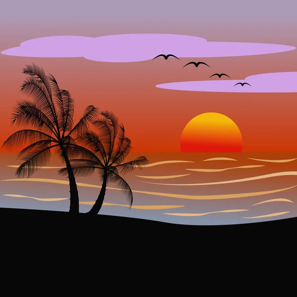 Sunset/sunrise on a beach with palms vector illustration — Stock Vector