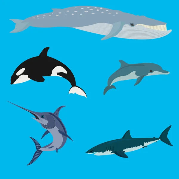 Zeedieren en vissen vector illustratie — Stockvector