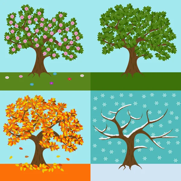 Tree in four yearly seasons, spring, summer, fall and winter vector illustration — Stock Vector