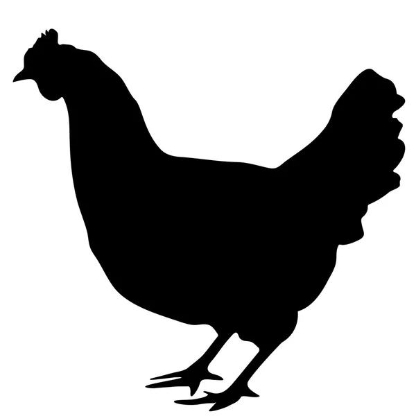 Векторный чёрный силуэт курицы — стоковый вектор