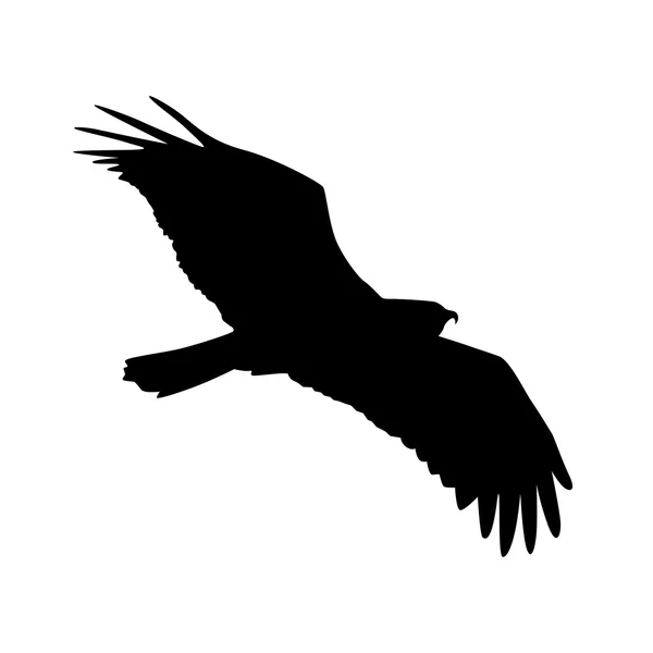 Vector silhouette of the Bird of Prey — Stock Vector