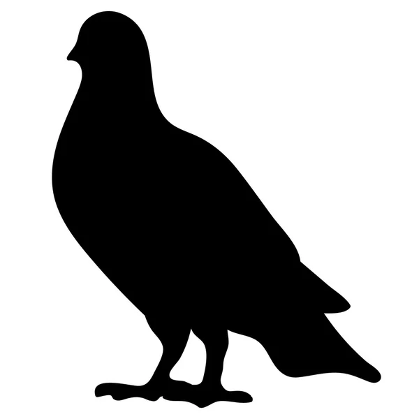 Silhouette vectorielle de l'oiseau Pigeon . — Image vectorielle