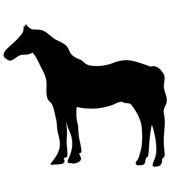 Vector silhouet van paard — Stockvector